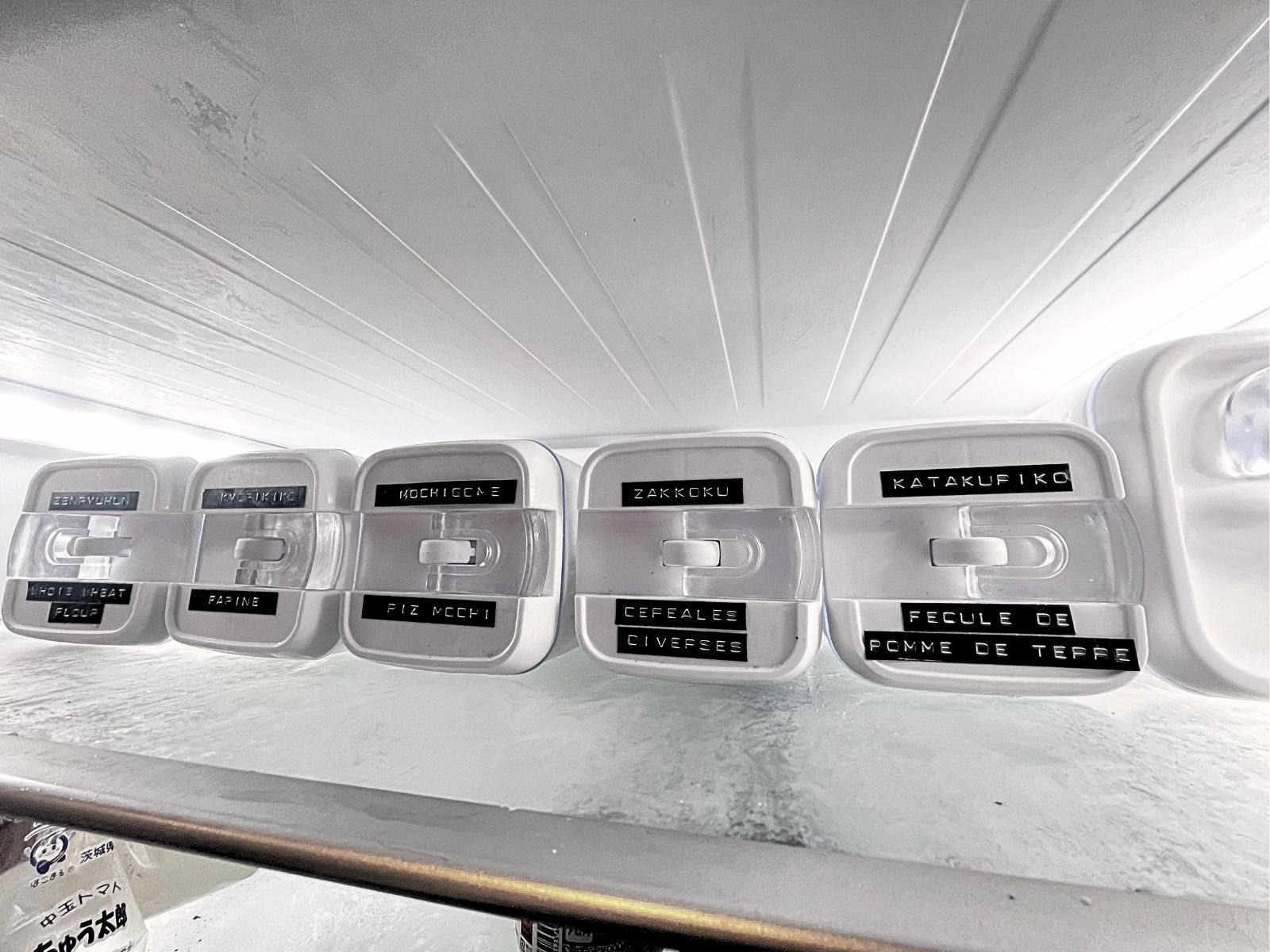 Five lever-lid containers lined up along the depth of a fridge shelf, labels facing forward