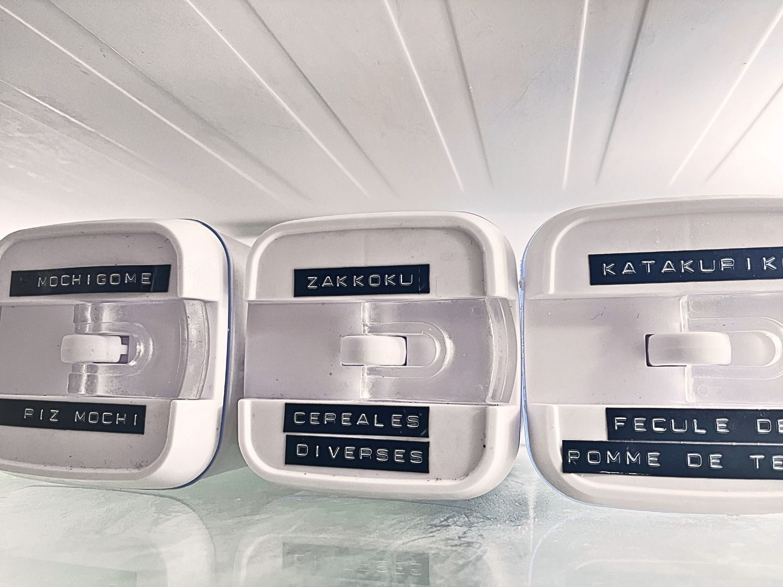 Close-up of fridge containers labeled in romanized Japanese and French