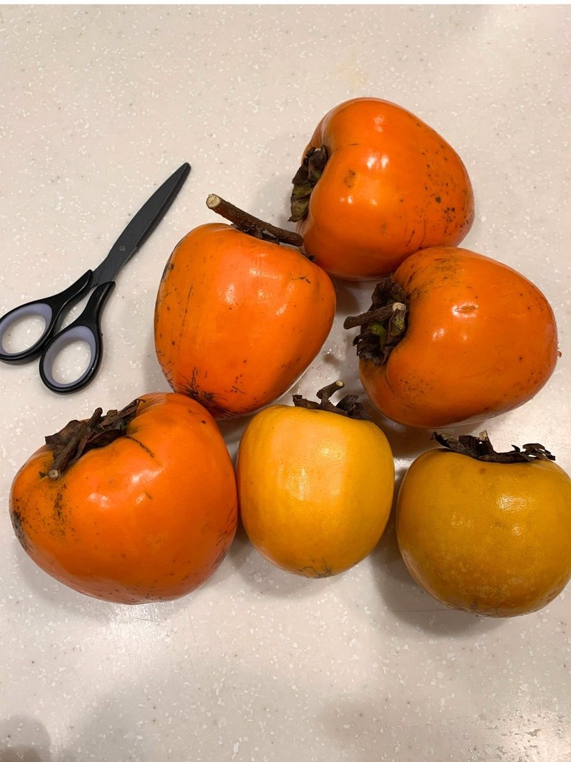 Persimmons with a bit of branch still attached, before peeling