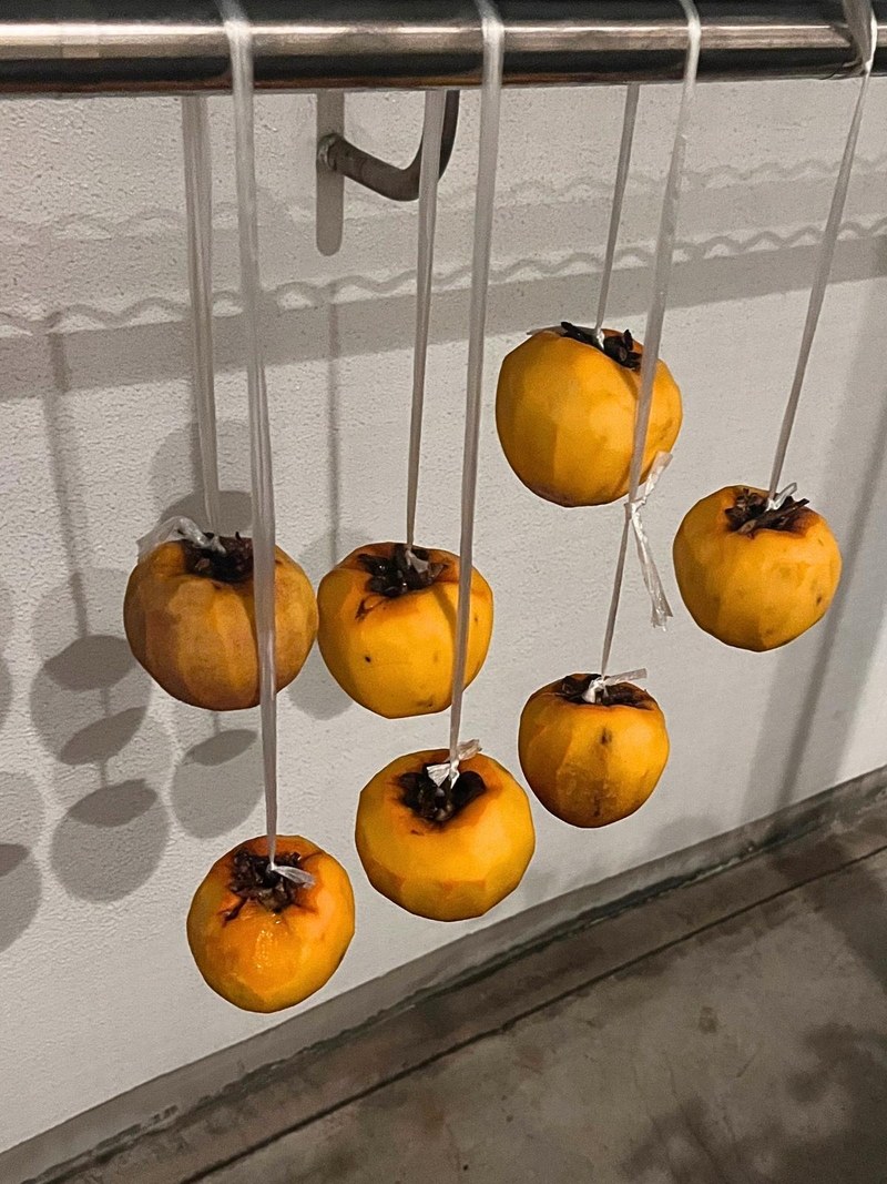 Freshly peeled persimmons hanging from a laundry pole on plastic string