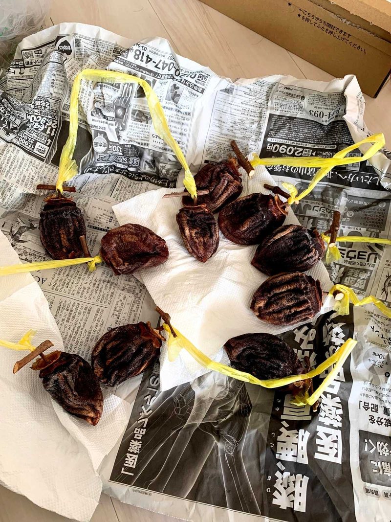 Dried persimmons on paper towels and newspaper, ready to be wrapped for the fridge