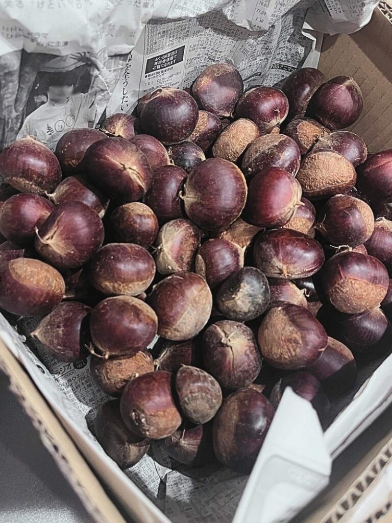 A cardboard box lined with newspaper, filled with fresh chestnuts