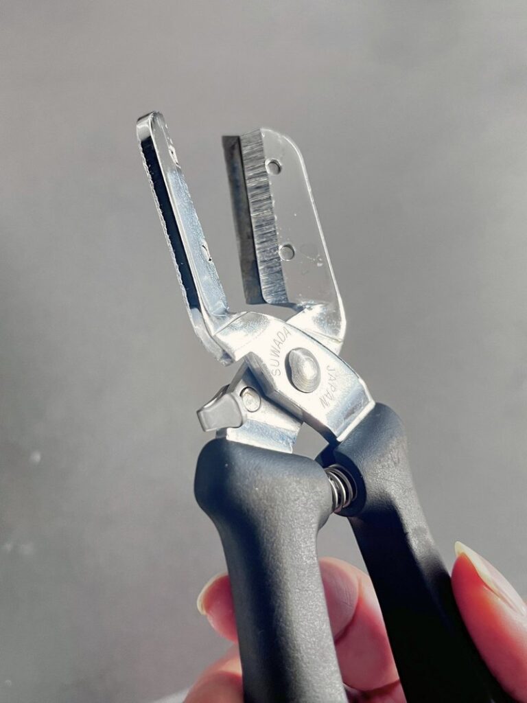 Chestnut shears held open, showing the small lock tab by the hinge