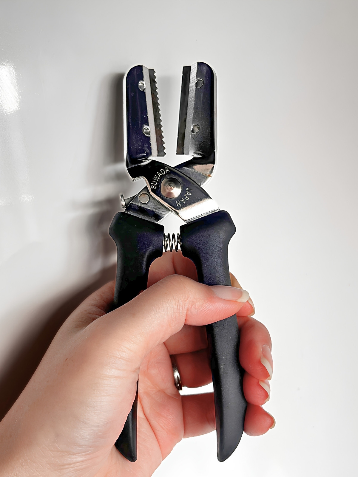 Holding the chestnut peeler in my left hand