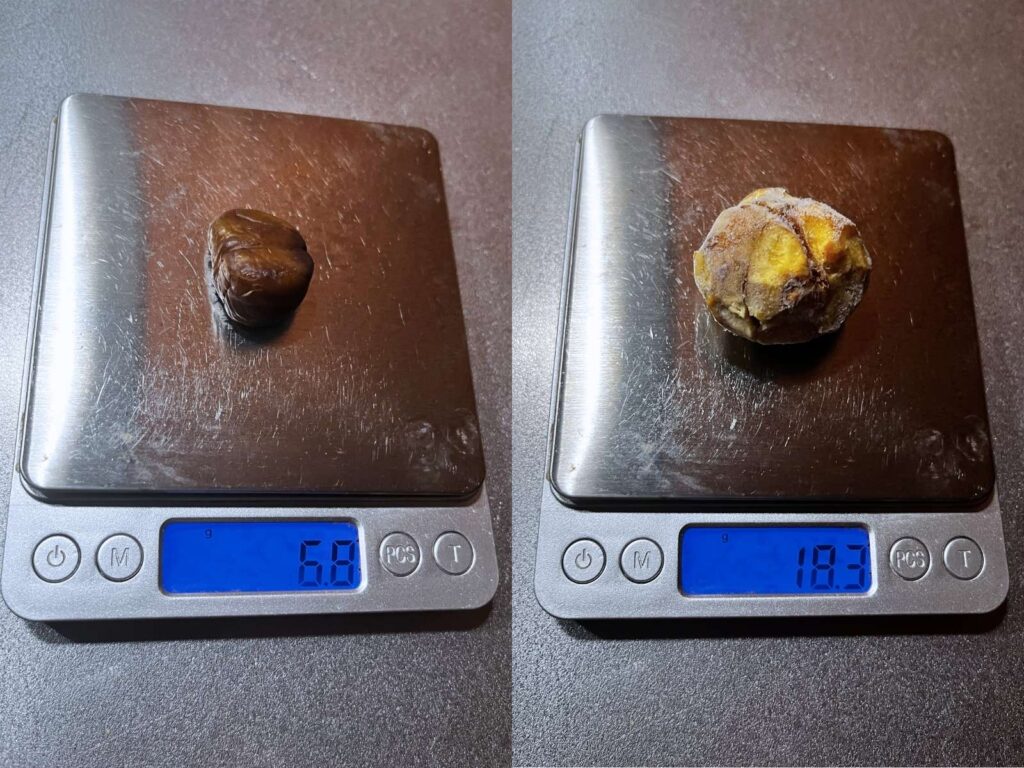 A roasted peeled chestnut on a kitchen scale at 6.8g next to a larger chestnut at 18.3g